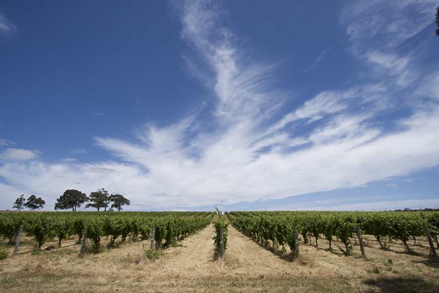 MargaretRiver玛格丽河